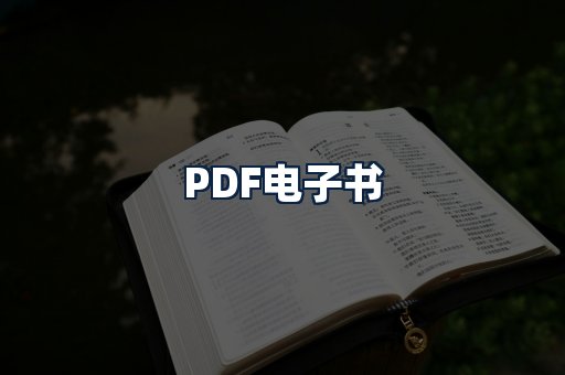 PDF电子书